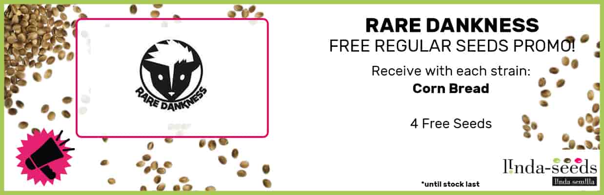 RARE DANKNESS SEEDS FREE SEEDS PROMOTION
